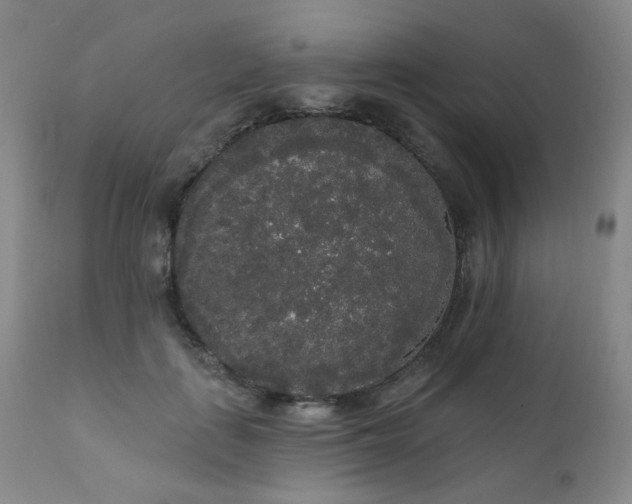 X0000111050651200906251434