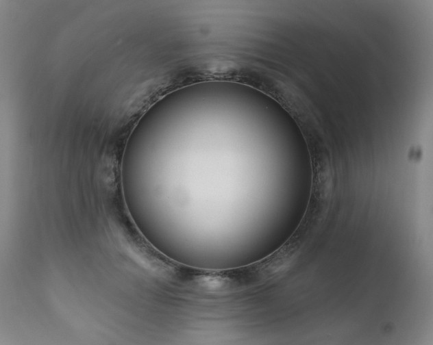 X0000111050654200906251434