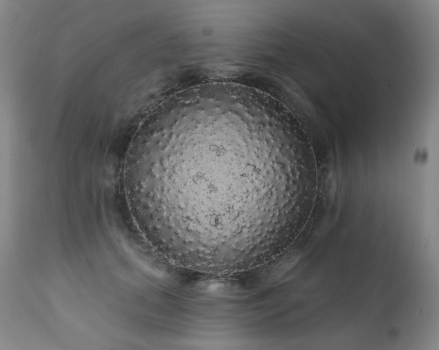 X0000111050655200906251434