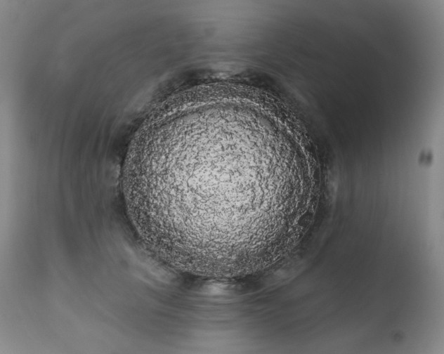 X0000111050657200906251434