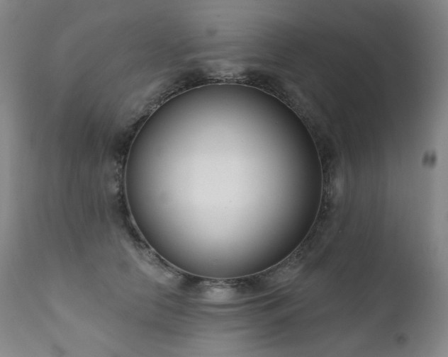 X0000111050658200906251434