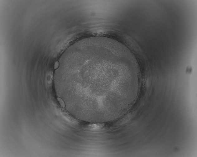 X0000111050660200906251434