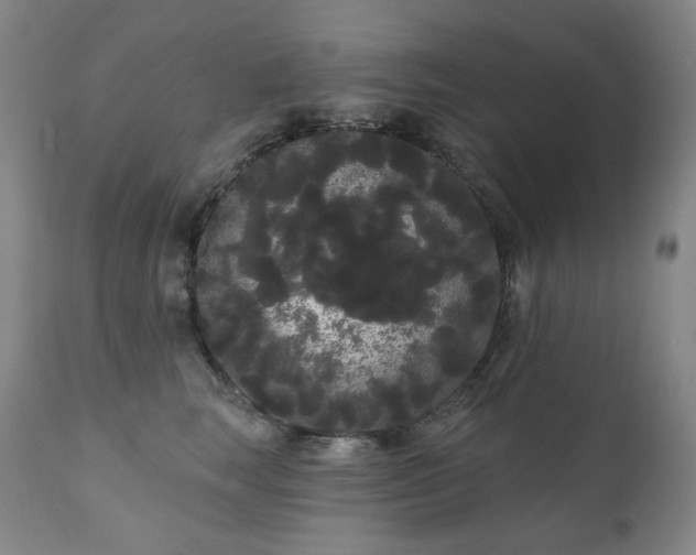 X0000111050663200906251434