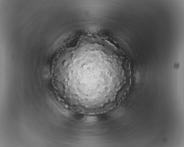 X0000111050665200906251434