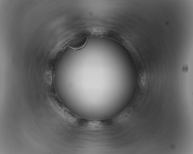 X0000111050666200906251434