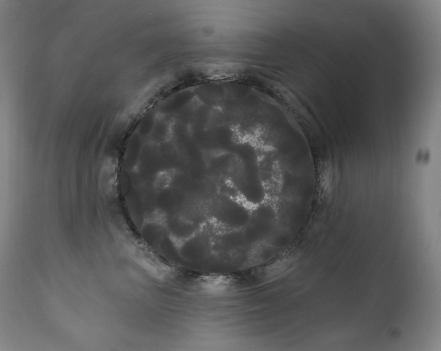 X0000111050667200906251434