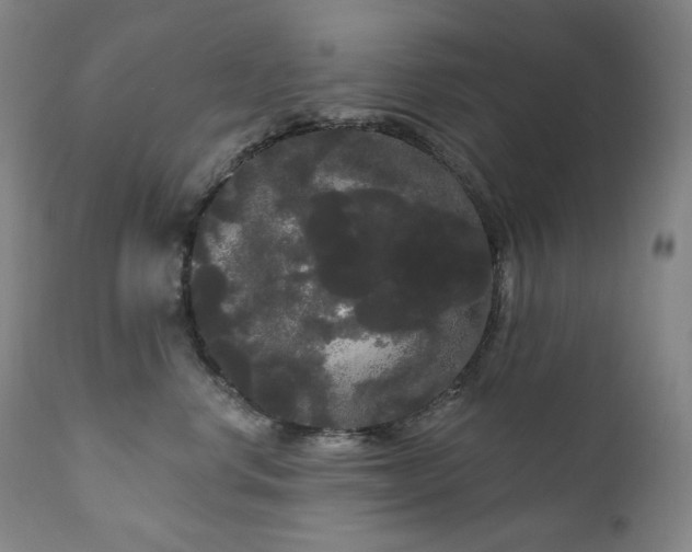 X0000111050668200906251434