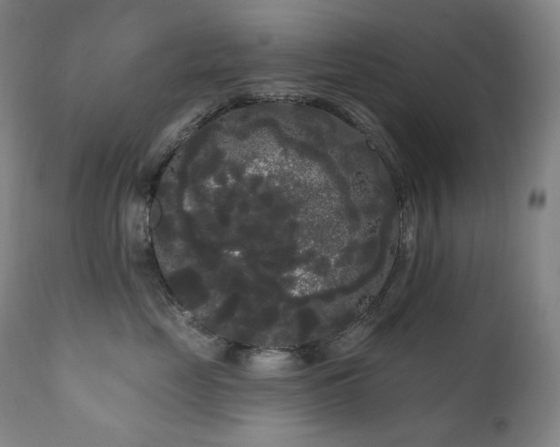 X0000111050669200906251434