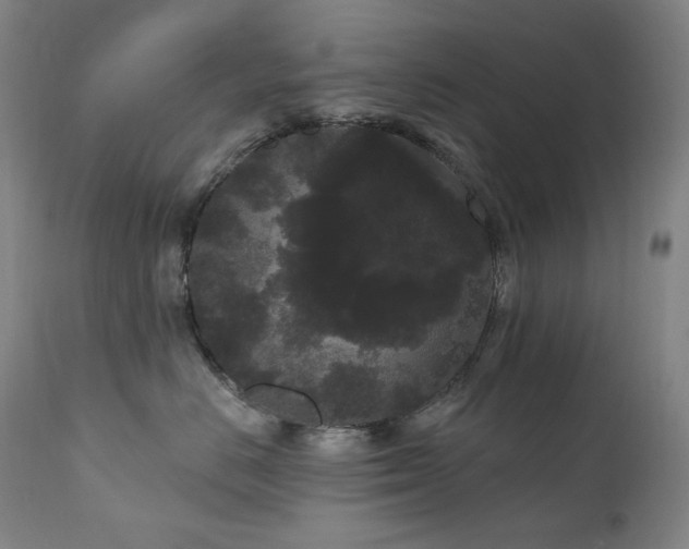 X0000111050670200906251434