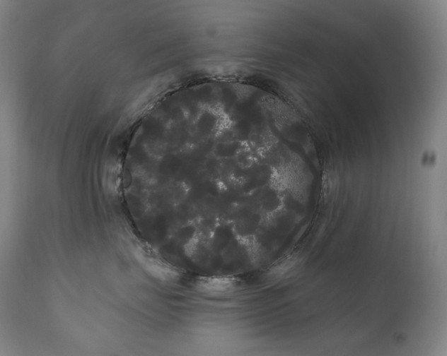 X0000111050671200906251434