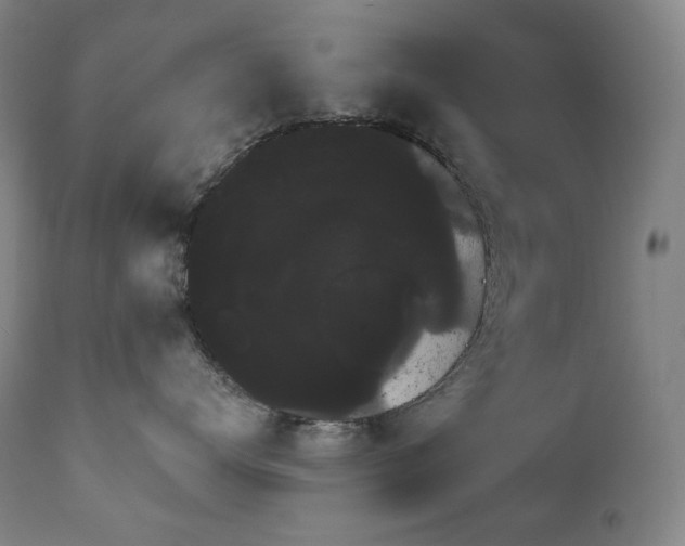 X0000111050672200906251434