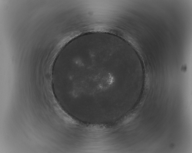 X0000111050673200906251434