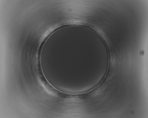 X0000111050674200906251434