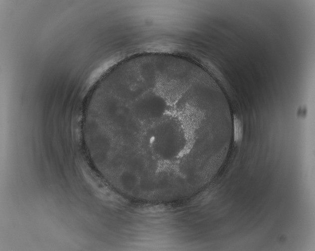 X0000111050675200906251434