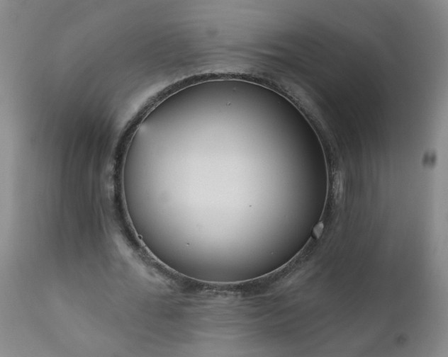 X0000111050676200906251434