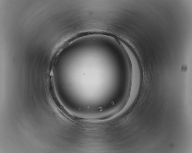 X0000111050677200906251434