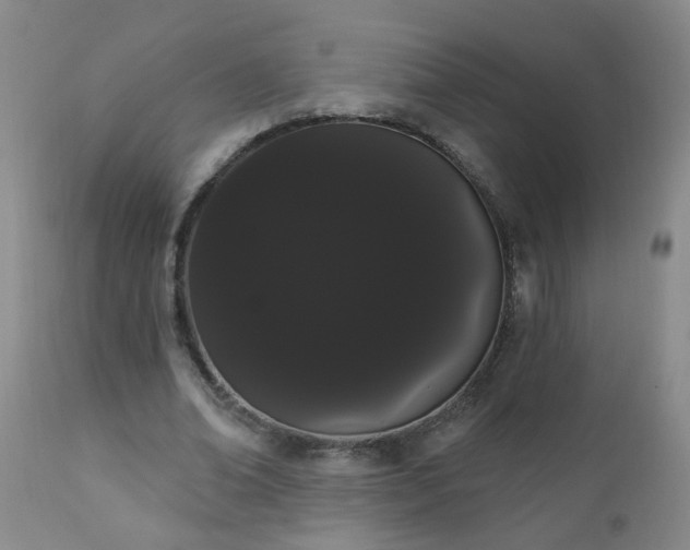 X0000111050678200906251434