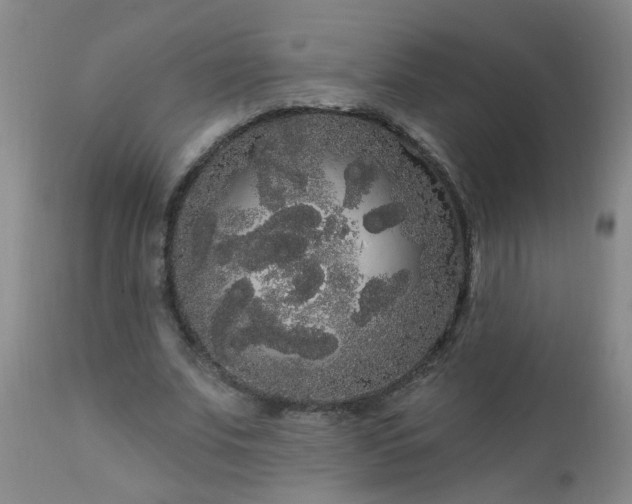 X0000111050679200906251434