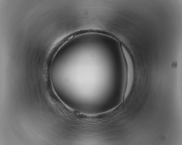 X0000111050680200906251434