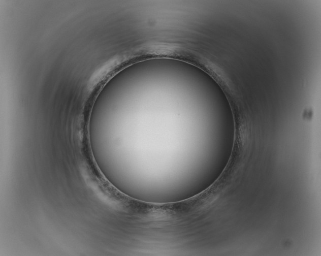 X0000111050682200906251434