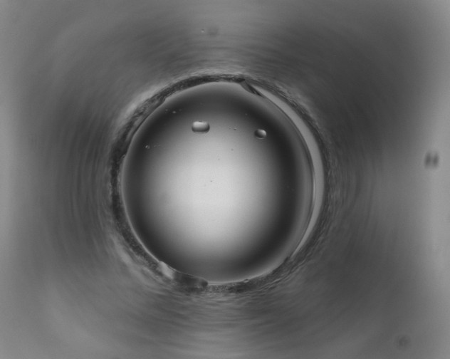 X0000111050684200906251434