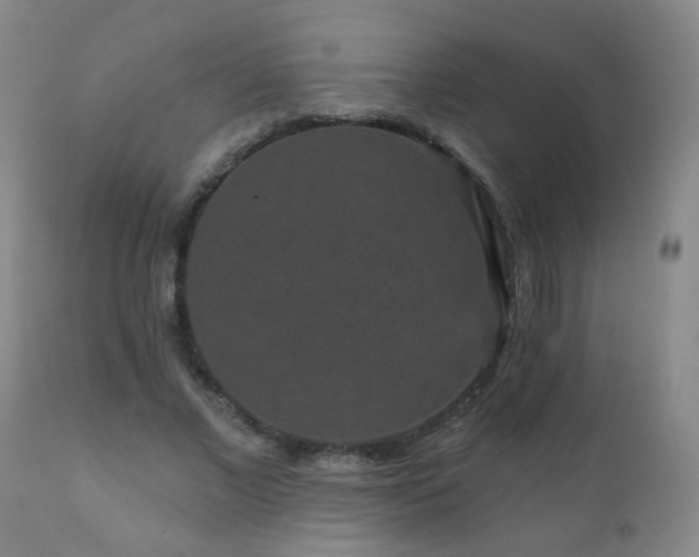 X0000111050685200906251434