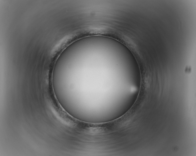 X0000111050686200906251433