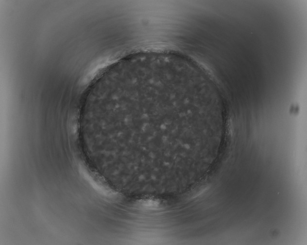 X0000111050687200906251433