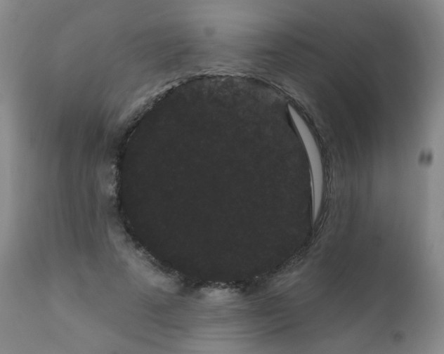 X0000111050689200906251433