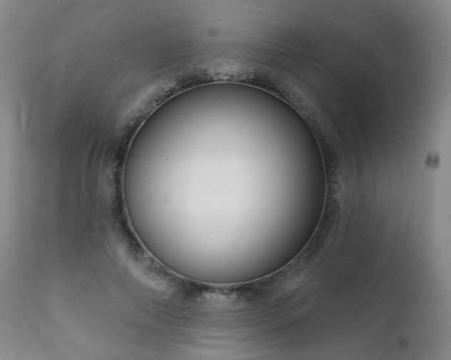 X0000111050690200906251433