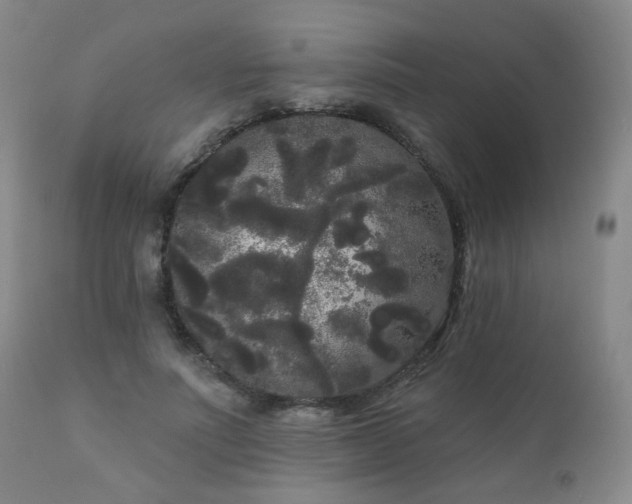 X0000111050691200906251433