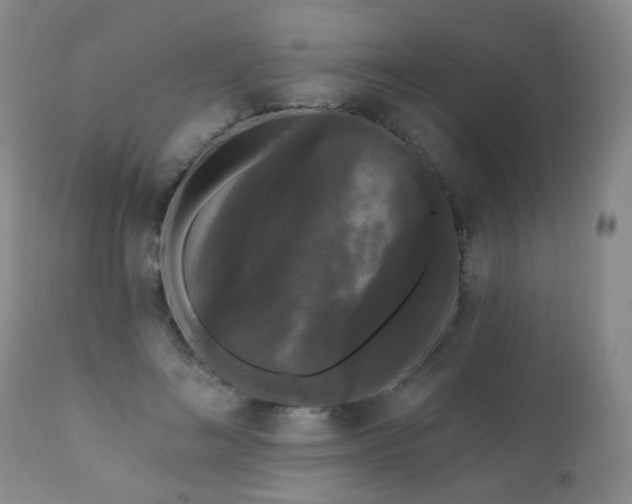 X0000111050692200906251433