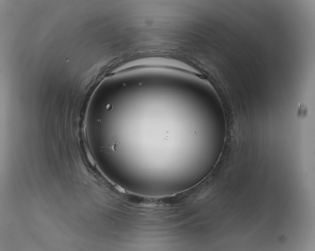 X0000111050693200906251433