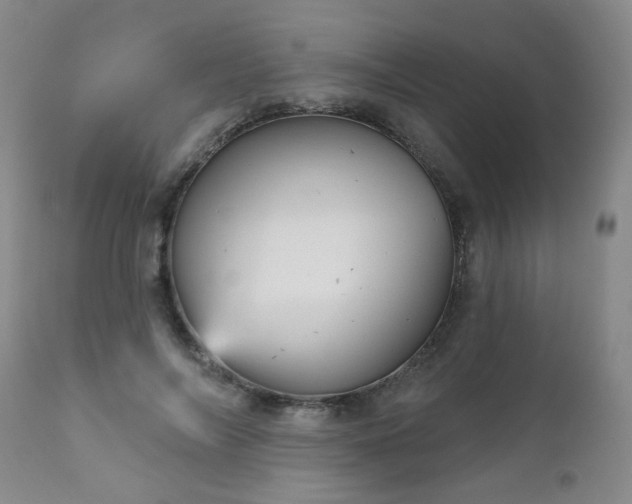 X0000111050694200906251433