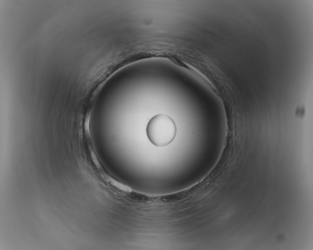 X0000111050696200906251433