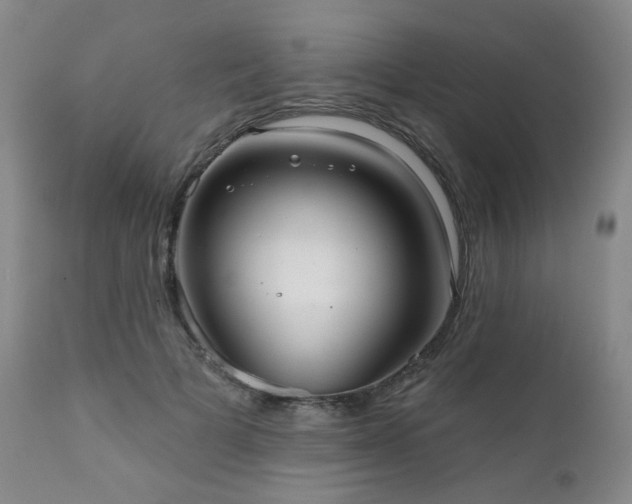 X0000111050697200906251433