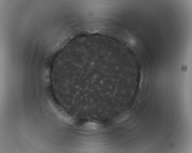 X0000111050699200906251433