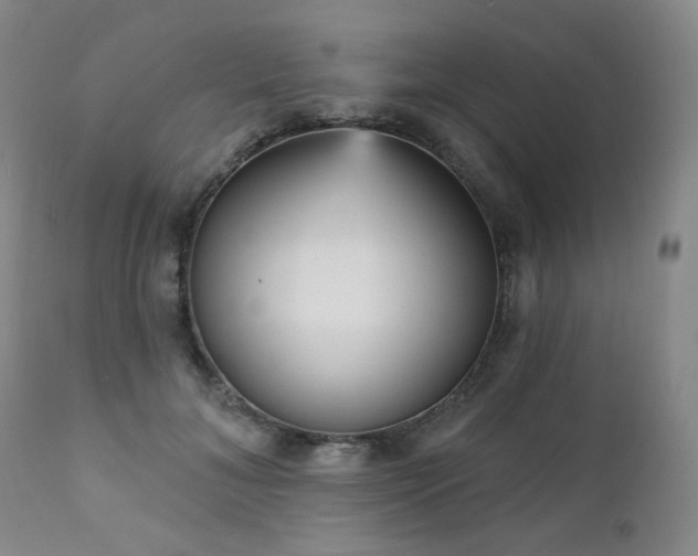 X0000111050700200906251433