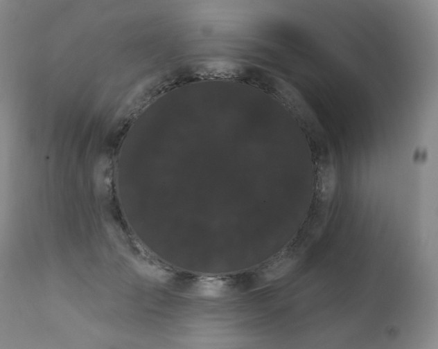 X0000111050701200906251433