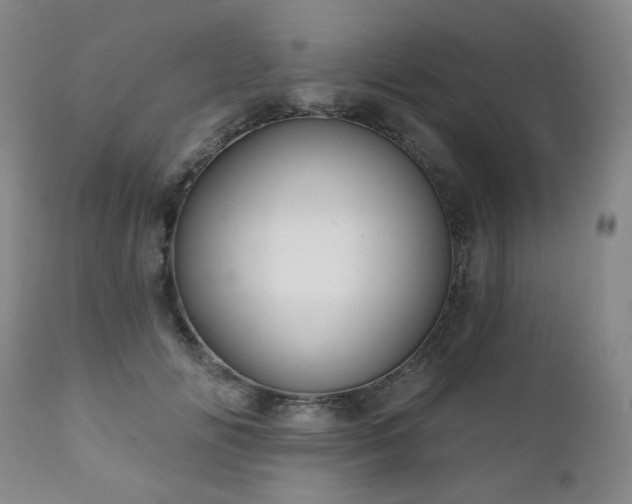 X0000111050702200906251433