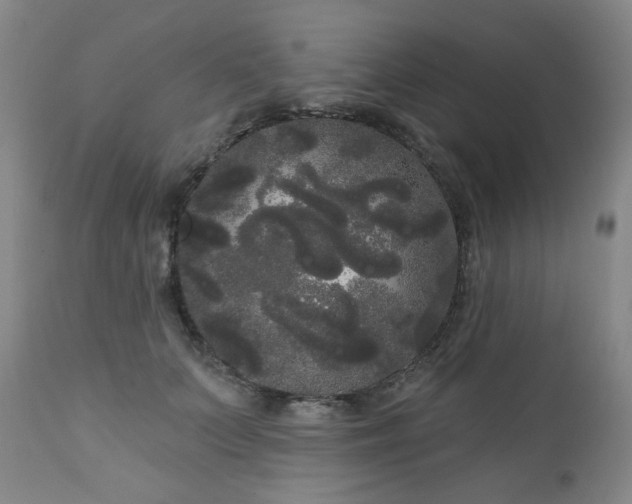 X0000111050703200906251433