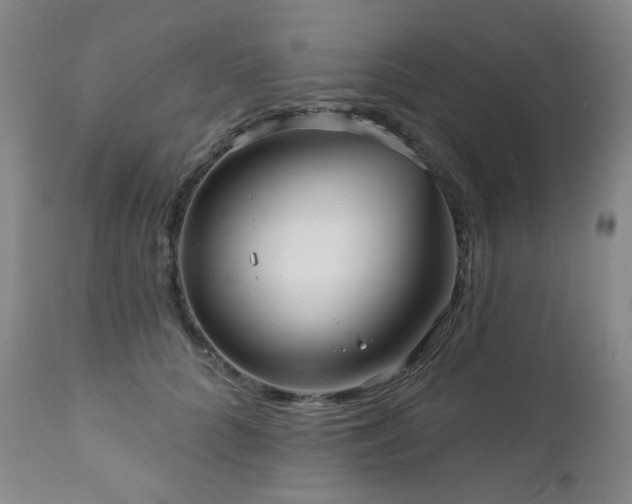 X0000111050704200906251433