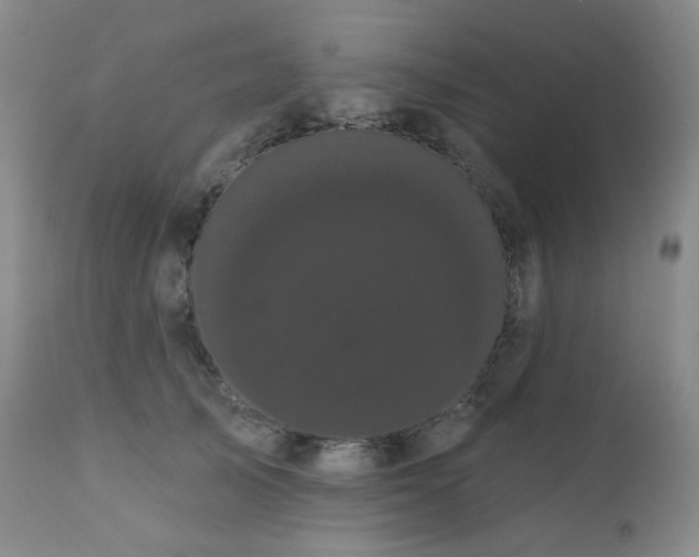 X0000111050705200906251433