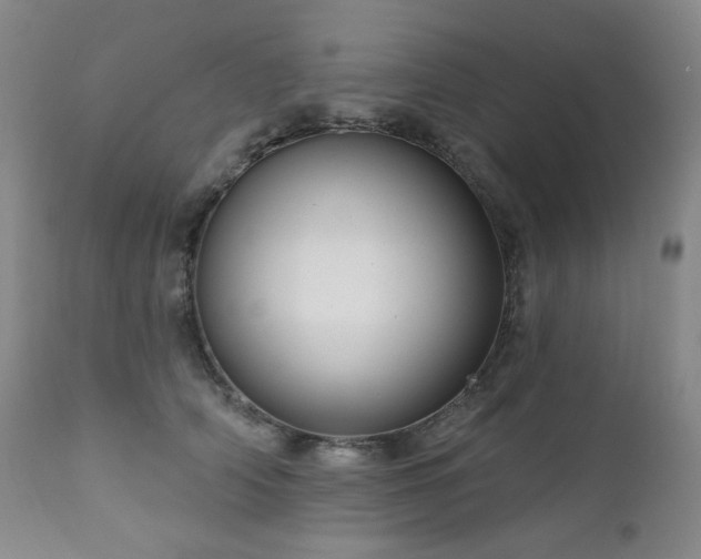 X0000111050706200906251433