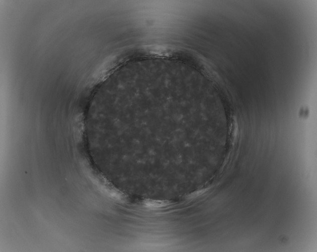 X0000111050707200906251433
