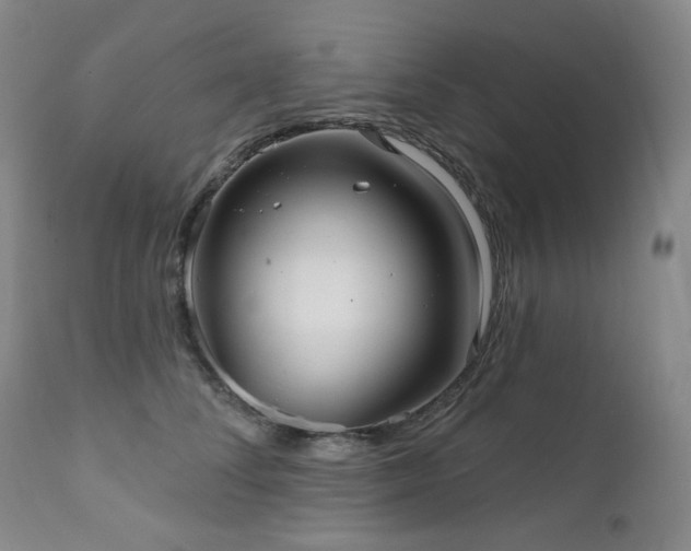X0000111050708200906251433