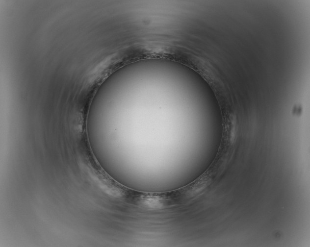 X0000111050710200906251433