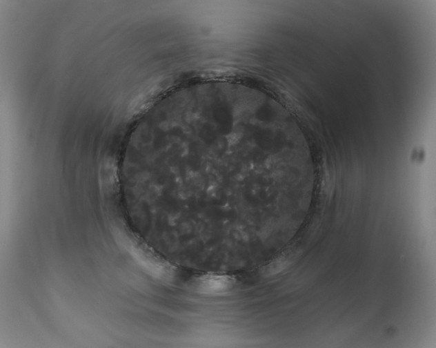 X0000111050711200906251433