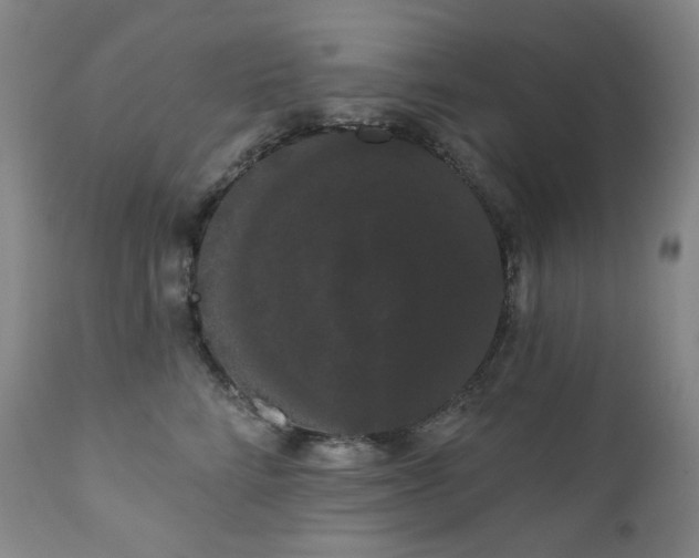 X0000111050712200906251433