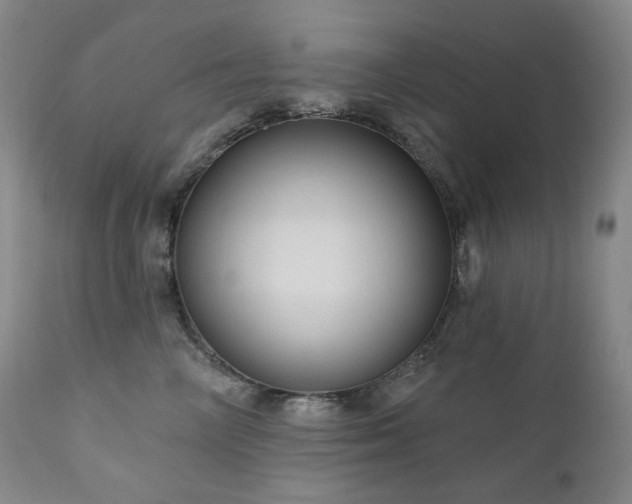 X0000111050714200906251433